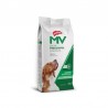 Holliday MV Perro Gastrointestinal