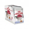 Royal Canin Instinctive Gravy