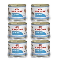 Royal Canin Recovery 6 Latas 165 Grs. Cada Una