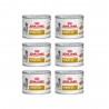 Royal Canin Recovery 6 Latas 165 Grs. Cada Una