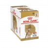 Royal Canin Pouch Poodle 12 sobres 85gr C/U