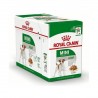 Royal Canin Mini Adult caja (12 x 85 grs)