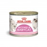 Royal Canin FHN Mother&Babycat  x195g