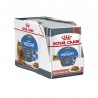 Royal Canin Pouch Light Caja 12 U. 85gr.