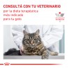 Royal Canin Urinary Cat Pouch (12x100gr) X CAJA