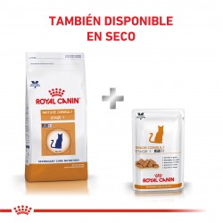 Royal Canin Senior Consult - Stage 1 (12 x 100gr) x CAJA