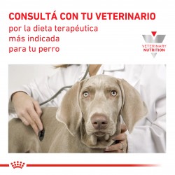 6 Royal Canin Diabetic Latas x 195 Grs C/u