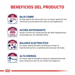 Royal Canin Recovery 6 Latas 165 Grs. Cada Una