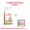 Royal Canin Recovery 6 Latas 165 Grs. Cada Una