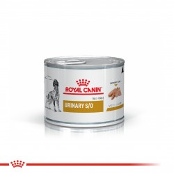 Royal Canin Recovery 6 Latas 165 Grs. Cada Una