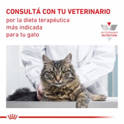 Royal Canin Recovery Cat/Dog Lata x 195 grs