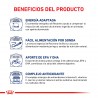 Royal Canin Recovery Latas Caja x 12 u. 195 grs c/u