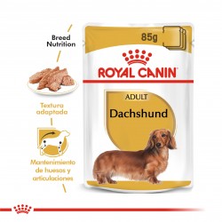 Royal Canin Alimento Húmedo para Perro Dachshund  Pouch 85gr x 12u