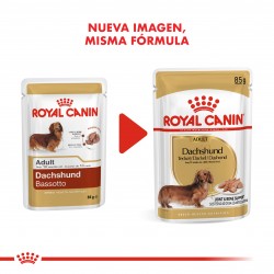 Royal Canin Alimento Húmedo para Perro Dachshund  Pouch 85gr x 12u