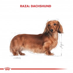 Royal Canin Alimento Húmedo para Perro Dachshund  Pouch 85gr x 12u