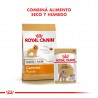 Royal Canin Pouch Poodle 12 sobres 85gr C/U