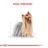 Pouch Yorkshire Terrier 12 sobrecitos de 85 gr. C/U