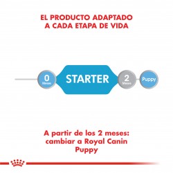 Royal Canin Recovery 6 Latas 165 Grs. Cada Una