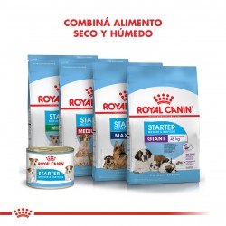 Royal Canin Recovery 6 Latas 165 Grs. Cada Una