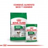 Royal Canina Mini Agein 12+ caja (12 x 85 grs)