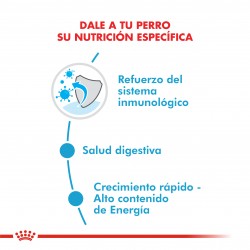 Royal Canin Alimento Húmedo para Perro Medium Puppy  Pouch 140gr x 10u