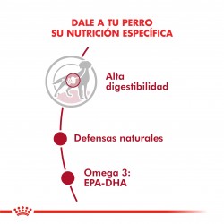 Royal Canin Alimento Húmedo para Perro Medium Adulto  Pouch 140gr x 10u