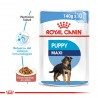 Royal Canin Alimento Húmedo para Perro Maxi Puppy  Pouch 140gr x 10u