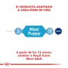 Royal Canin Alimento Húmedo para Perro Maxi Puppy  Pouch 140gr x 10u