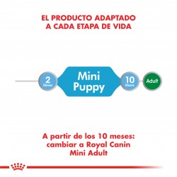 Royal Canin Mini Puppy 1 kg