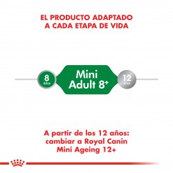 Mini Adult 8+