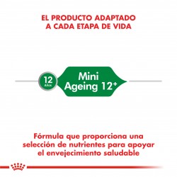 Mini Ageing +12