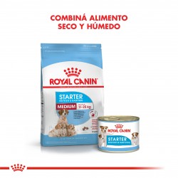 Royal Canin Starter Medium