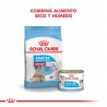 Royal Canin Starter Medium