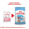 Royal Canin Starter Medium