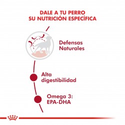 Royal Canin Alimento Seco para Perro Medium Adulto