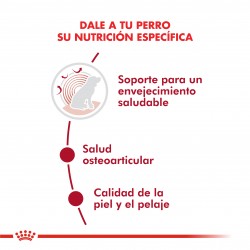 Royal Canin Alimento Seco para Perro Medium Ageing 10+  15 kg