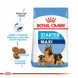 Royal Canin Starter Maxi Mother & Babydog x 10 kg