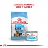 Royal Canin Starter Maxi Mother & Babydog x 10 kg