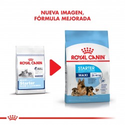 Royal Canin Starter Maxi Mother & Babydog x 10 kg