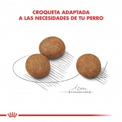 Purina Pro Plan Adulto Complete x 15 kg + 3 kg de regalo