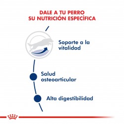 Royal Canin Alimento Seco para Perro Maxi Adulto 5+  15 kg