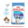 Royal Canin Giant Puppy x 1 kg