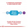 Royal Canin Giant Puppy x 1 kg