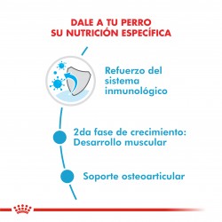 Royal Canin Alimento Seco para Perro Giant Junior  15 kg