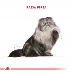 Royal Canin Alimento Húmedo para Gato Persian  Pouch 85gr x 12u