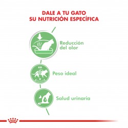 Royal Canin Digest Sensitive Pouch caja (12 x 85g)