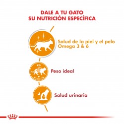 Royal Canin Alimento Húmedo para Gato HAIR & SKIN 85 gr