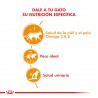 Royal Canin Alimento Húmedo para Gato HAIR & SKIN 85 gr