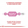 Royal Canin FHN Mother&Babycat  x195g