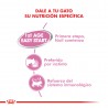 Royal Canin FHN Mother&Babycat  (6 x 195g) x caja